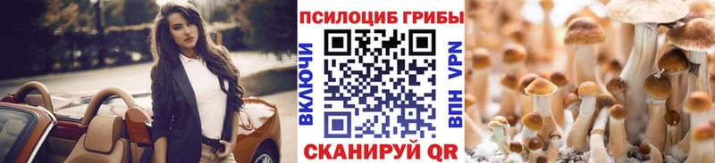 Купить где  Козельск  Галлюциногенные грибы Psilocybine cubensis 